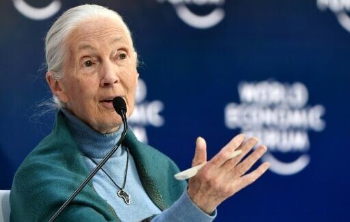 Jane Goodall speaks in her role as UN Messenger of Peace at the World Economic Forum in Davos, Switzerland, in 2020