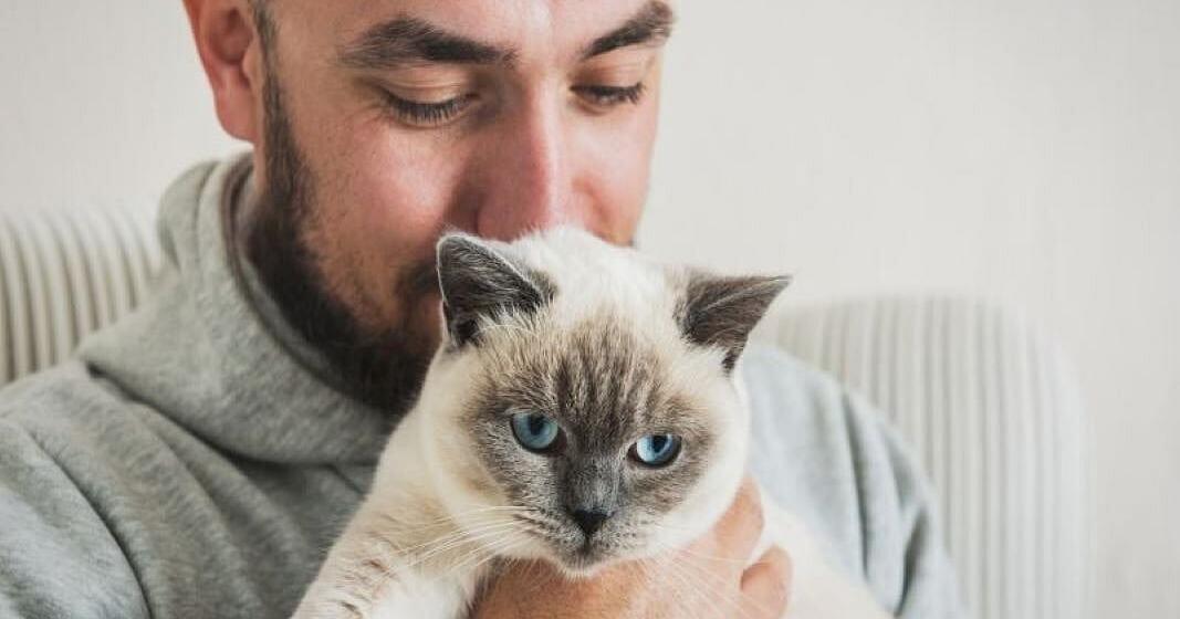 What Does Science Say About Pet Allergies? | Homes