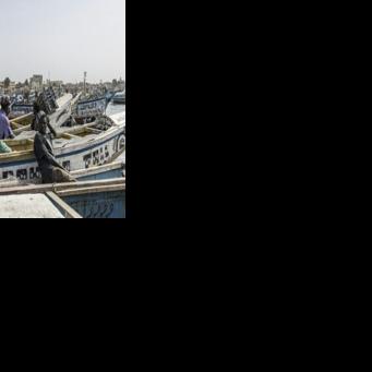 Estimates on the exact number of pirogues in Senegal vary, but generally fall between 12,000 and 19,000 depending on various considerations