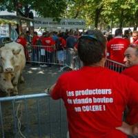 The EU's trade deal with South American bloc Mercosur has faced French-led opposition over agricultural concerns