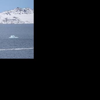 Investors have stopped worrying about new tariffs over Greenland for now