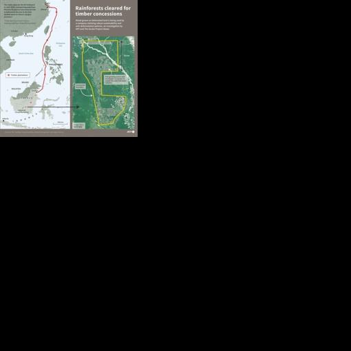 Rainforests cleared for paper and pulp