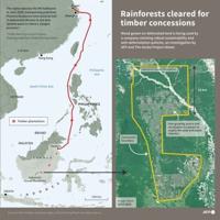 Rainforests cleared for paper and pulp