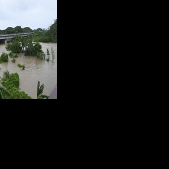 Jamaican health authorities are warning residents to stay vigilant against hurricane-displaced crocodiles