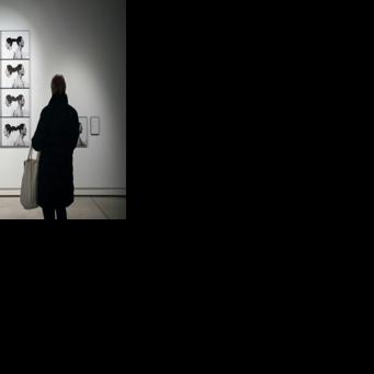 The exhibition is on at the Ljubljana Modern Arts Museum