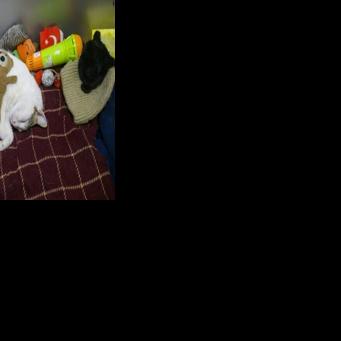 Cats enjoy endless love and attention in Istanbul