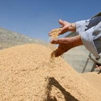 Cement is more expensive in Kyrgyzstan than anywhere else in Central Asia and rice husk is emerging as alternative