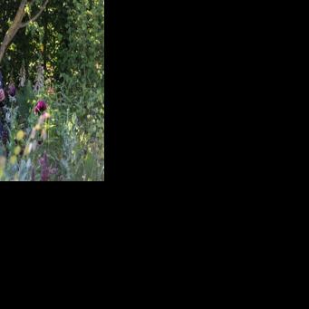 King Charles III warns world 'going backwards' in climate fight