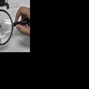 Scientists have been battling over exactly how much microplastics we have inside us