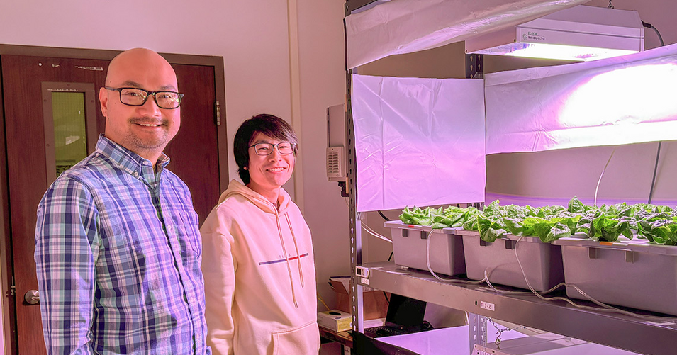 Facility advances indoor farming
