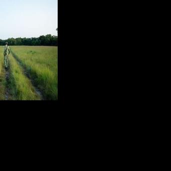 'If there are turtles, it means our ecosystem is sound and healthy,' said Francois Boussamba, a Gabonese turtle expert