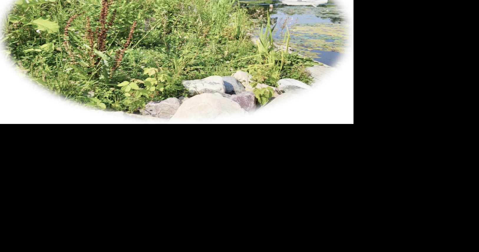 April 23 last day for ordering perennial plant sale items