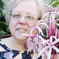 Sandra Ann “Sandy” Roth | Obituaries | news-shield.com