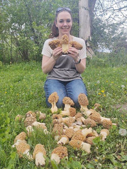 Bumper crop