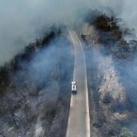 The fires have hit Syria's coastal mountains, burning vast areas of forest