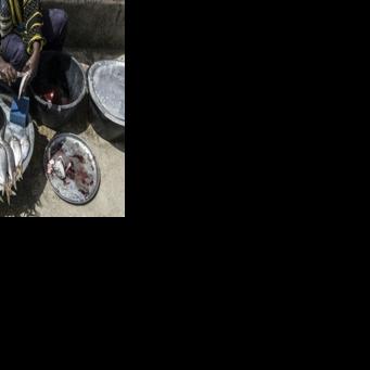 A shortage of fish affects both food security and Senegal's national economy, experts say