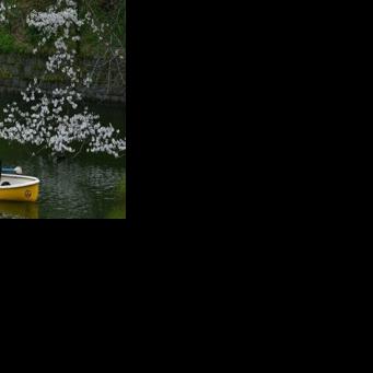 'Perfect Japan' posts spark Gen Z social media backlash