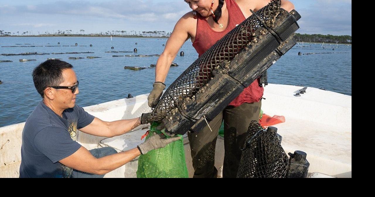 A Florida oyster fishery and its community fight for their future