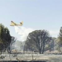 Forest fires break out as heatwave grips southern Europe