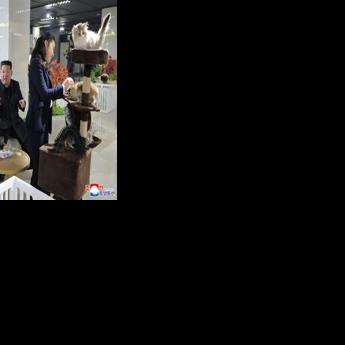 This undated picture released by North Korea's official Korean Central News Agency (KCNA) shows North Korean leader Kim Jong Un (C) and his daughter Kim Ju Ae (R) inspecting a pet shop awaiting the opening of the fourth-stage district of the Hwasong…