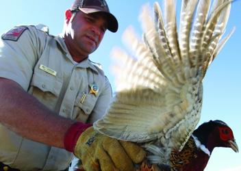 Dnr game warden cover letter