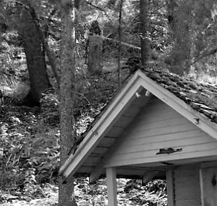 More canyon folklore Logan Hj