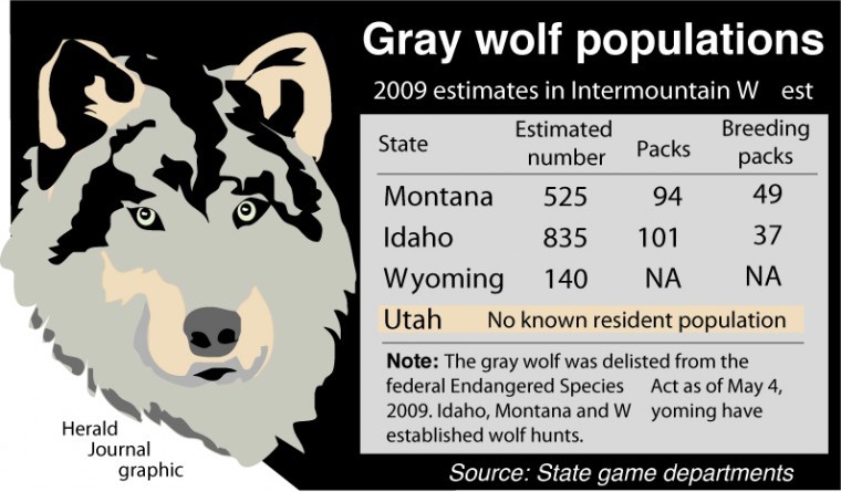 Wolf Killed In Franklin Basin Area 