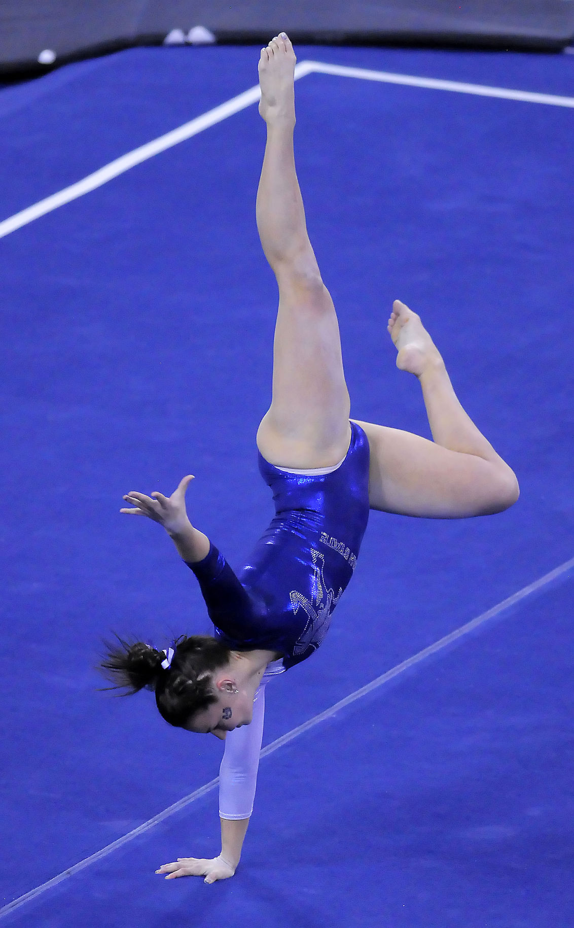 Photo Gallery Air Force Utah State Gymnastics Multimedia news