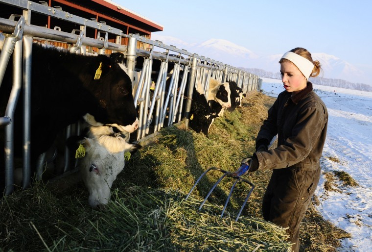 USU to discontinue dairy herdsman program Cache Valley, Utah, Idaho