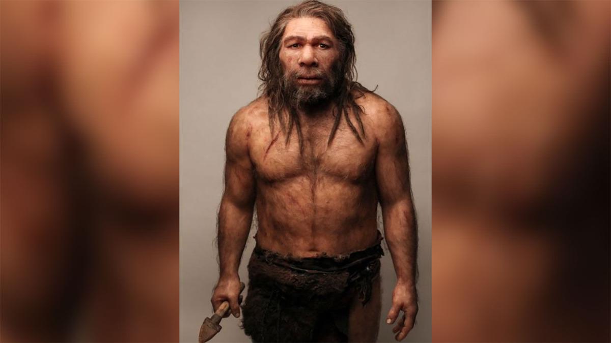 Prehistoric Teeth Seen As Proof Of Early Human Sex With Neanderthals 2824