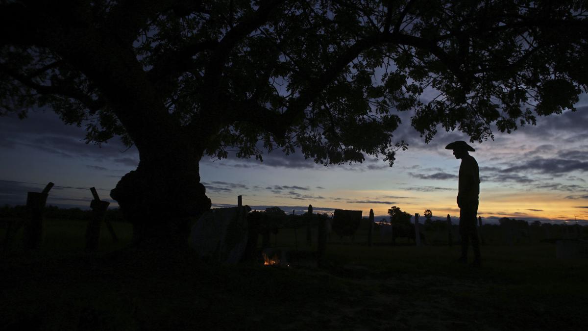 Brazil Wetland Cowboys Photo Gallery