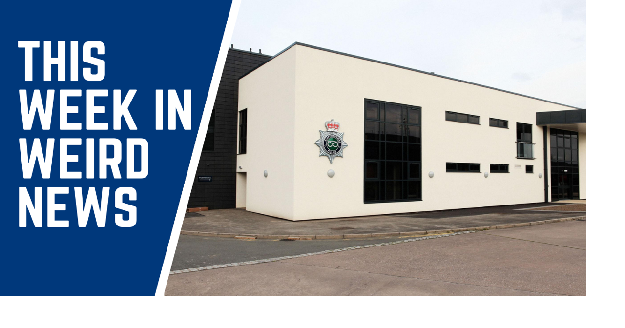 'World's unluckiest burglars' arrested after pocketdialing police, and