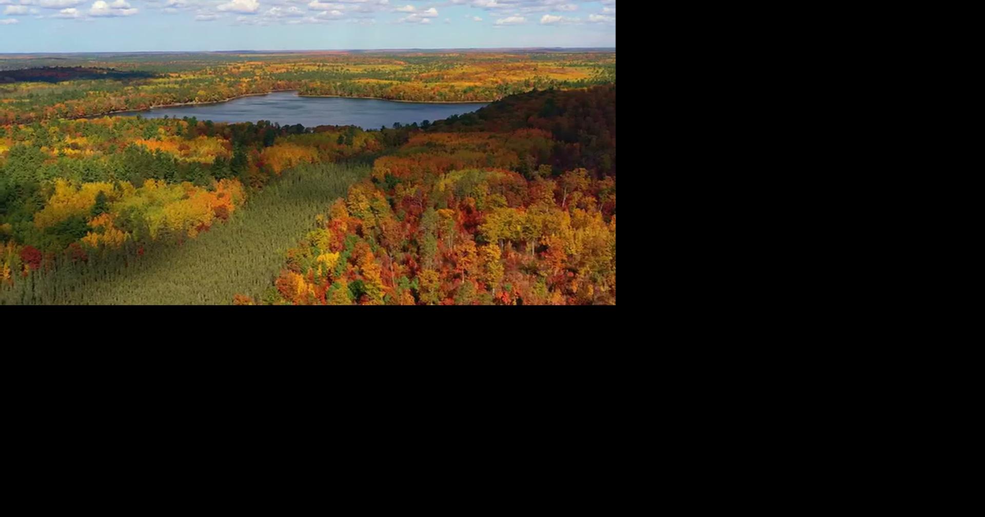 INTERACTIVE MAP TRACKS BEST FALL FOLIAGE COLORS