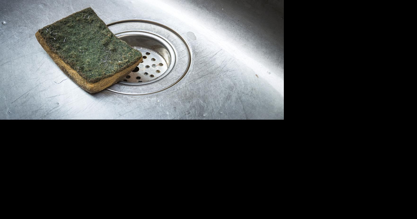 How often should you replace your kitchen sponges?