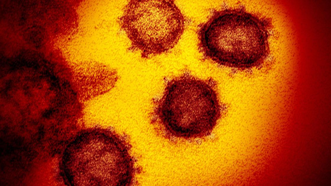Who Clarifies Comments On Asymptomatic Spread Of Coronavirus