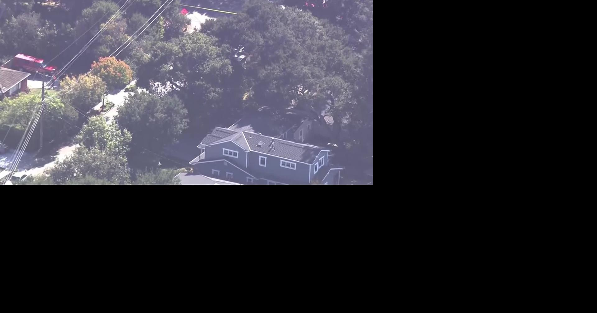 California tree trimmer killed after fall into wood chipper