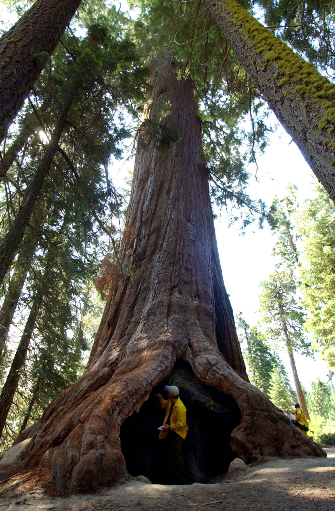 Trump National Monuments