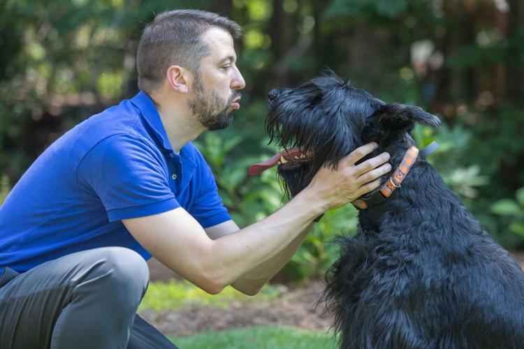 When training your dog yourself is not enough, Fido goes to school