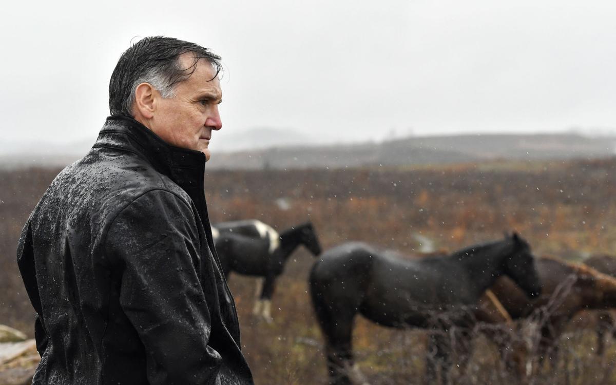 Photos The wild horses of Breathitt County National