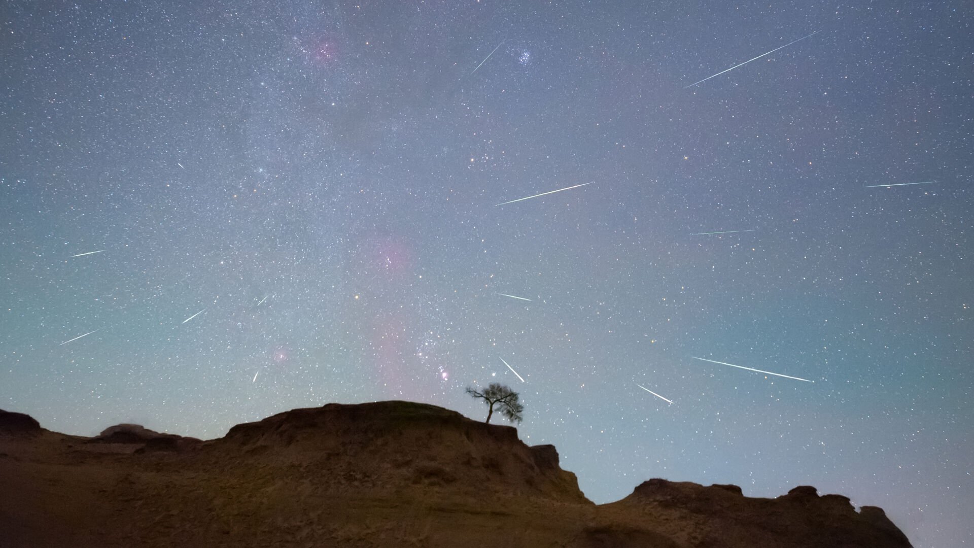 Orionid Meteor Shower From Halley's Comet To Light Up Sky: How To Watch