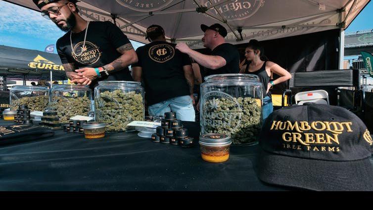 Can artisanal weed compete with 'Big Marijuana'? | Business news | news.lee.net