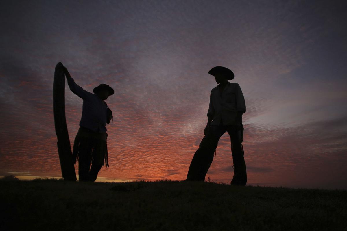 APTOPIX Brazil Wetland Cowboys Photo Gallery