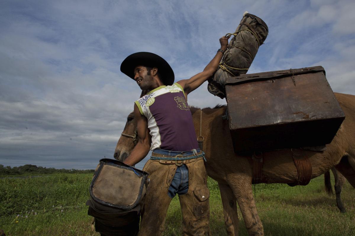 Brazil Wetland Cowboys Photo Gallery