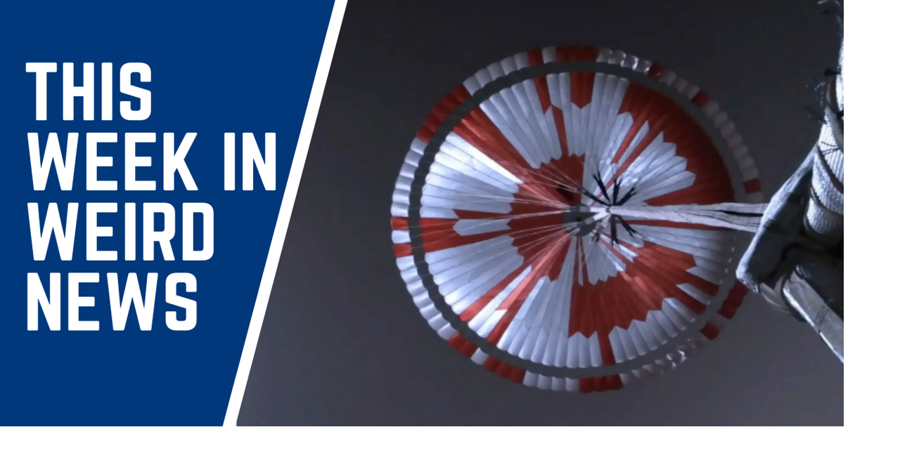 Mars rover's giant parachute carried secret message, and more of this ...