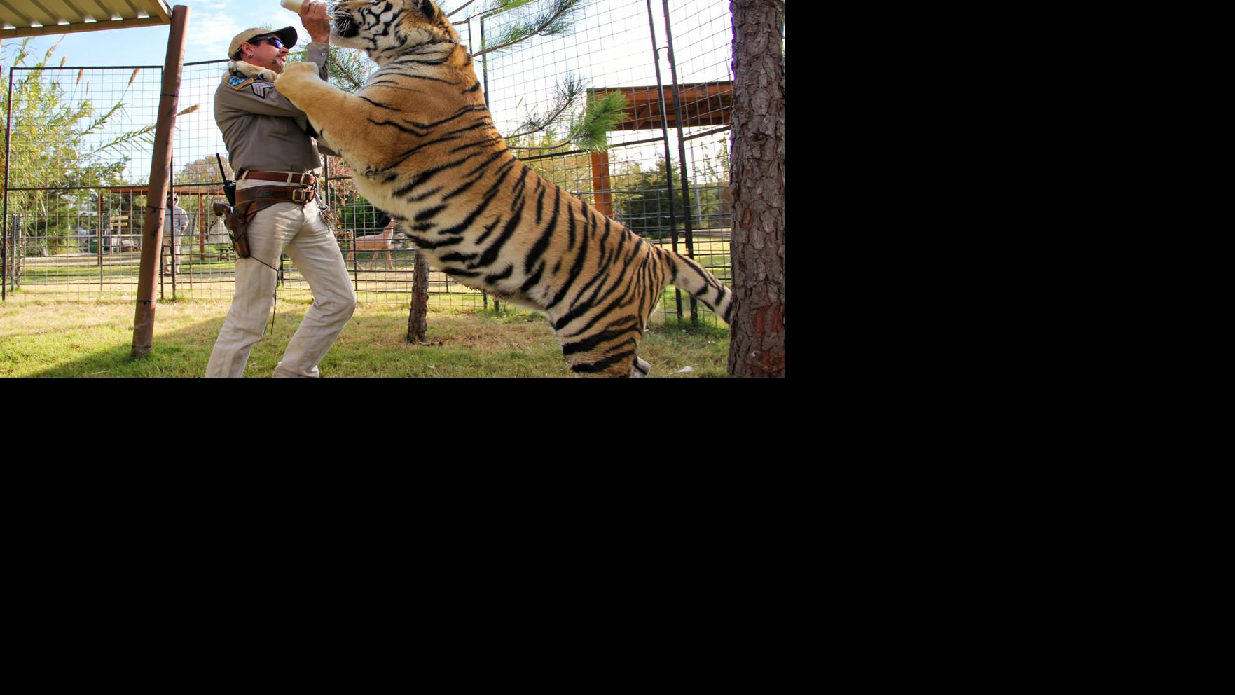 Tiger King Where Are They Now Television News Lee Net