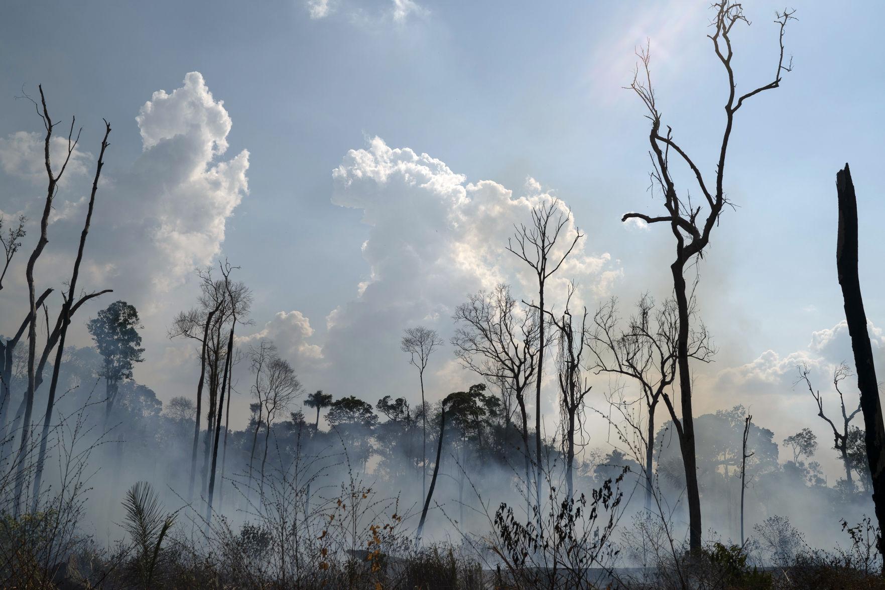 Photos See the devastation of Amazon rainforest fires still burning