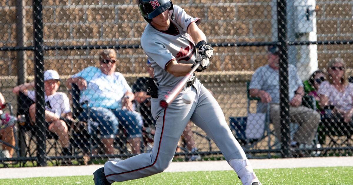 Rex Ritzhaupt HIGH SCHOOL BASEBALL ROUNDUP: Bulldogs roll over Eagles in Redford's ...