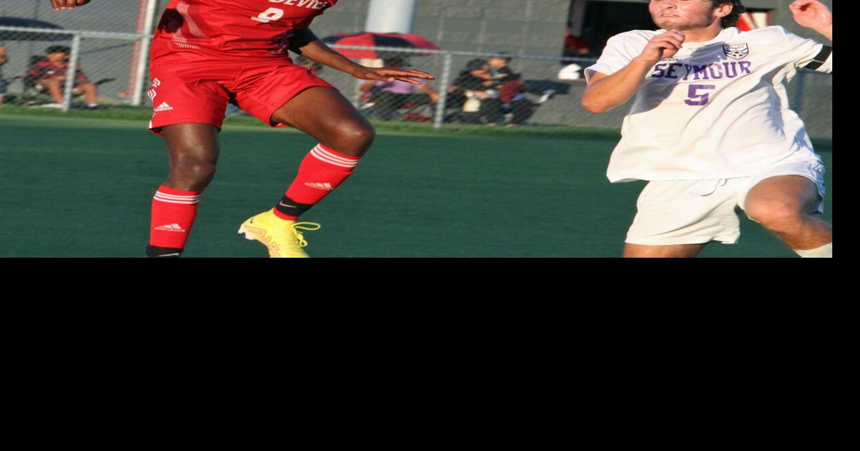 BOYS' SOCCER ROUNDUP: Red Devils fall to Owls | Sports | newsandtribune.com