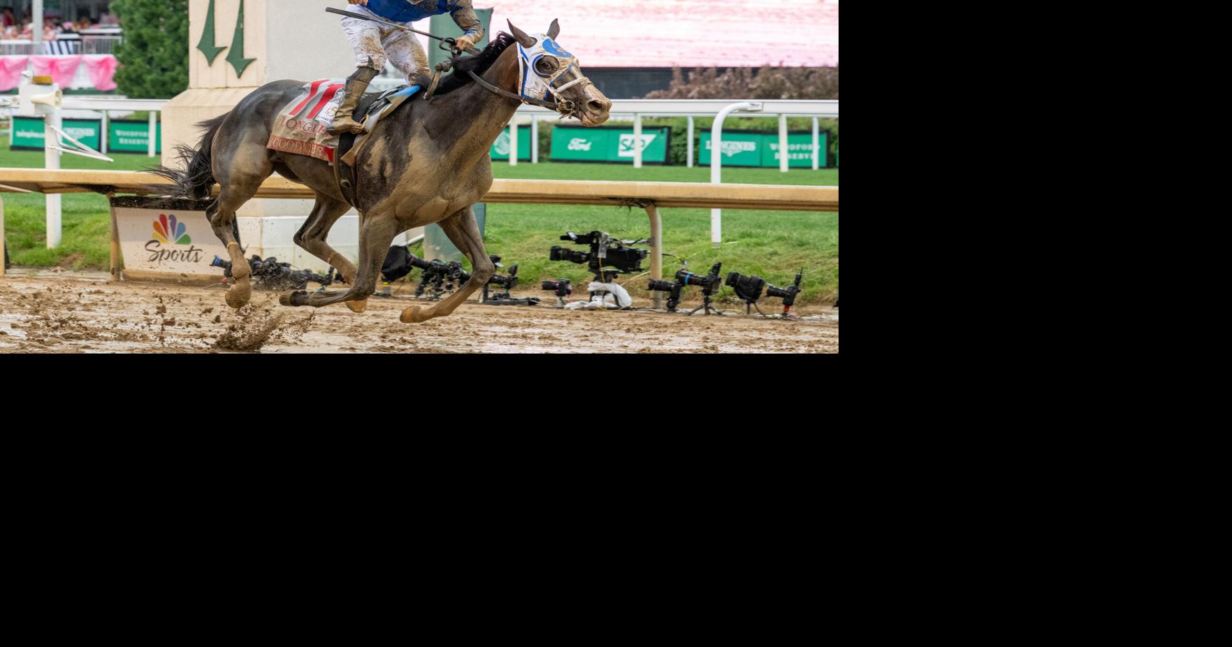 HORSE RACING: Good Cheer proves greatness | Sports | newsandtribune.com