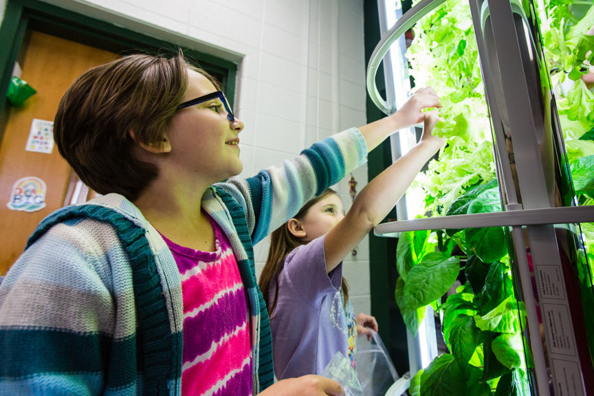 Good to Grow Green' expands in Floyd County | Education